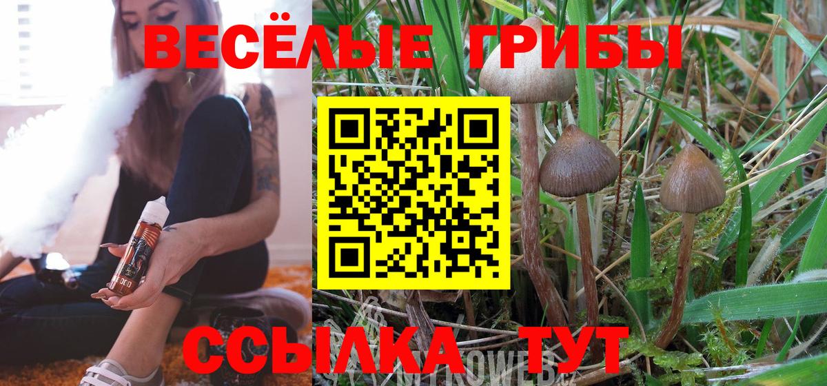 где купить наркоту  Вход с VPN  Кондопога  Галлюциногенные грибы мухоморы 